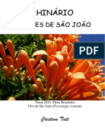 Cristina Tati - Flores de São João.pdf