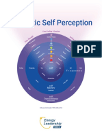 Energetic Self Perception PDF