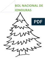 Pino Arbol Nacional de Honduras