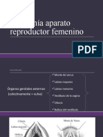 Anatomía Aparato Reproductor Femenino