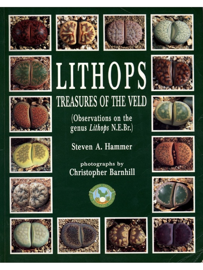 Lithops Scrapbook III