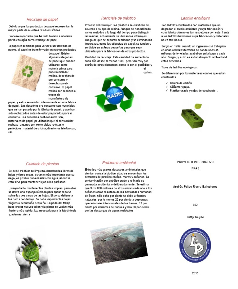 Guía de Reciclaje y Cuidado Ambiental | PDF | Papel | Reciclaje