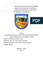 Jose Carlos Jimenez Huashuayo PDF