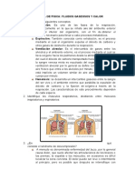 Flujos gaseosos, calor y respiración