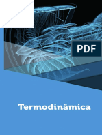 TERMODINAMICA.pdf