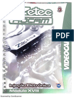 Fiesta Rocan PDF