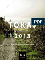 Tokaj 2013 Évjáratkörkép