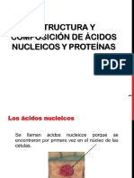Acidos Nucleicos 5U