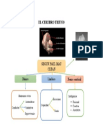 El Cerebro Triuno