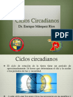 Cicloscircadianos PDF