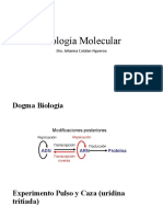 Biología Molecular ARN