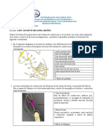 Guia de - Sistema de Conduccion LidyHiguera