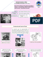 Evolución Del Control Fetal.