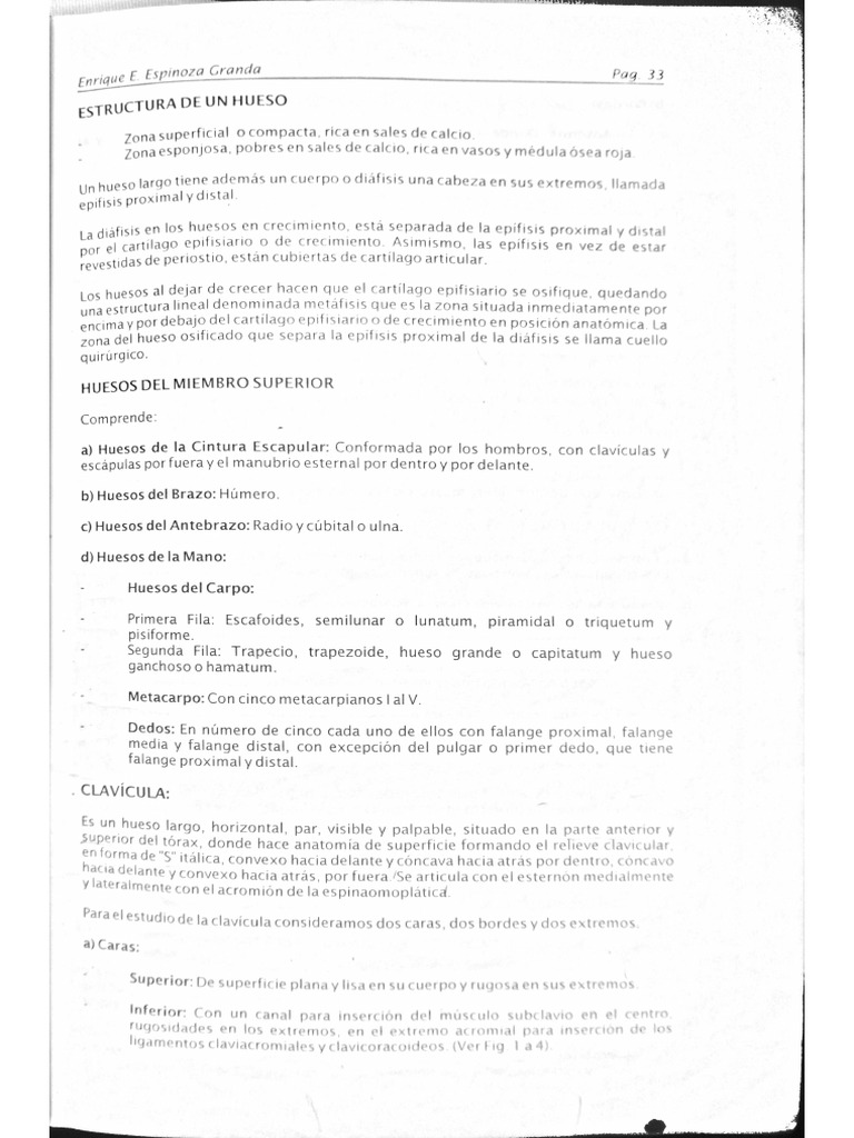 Image Result For Todos Los Huesos Y Su Lectura Emocional Moises Garcia