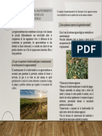 Mantenimiento de Las Funciones de Los Agroecosistemas