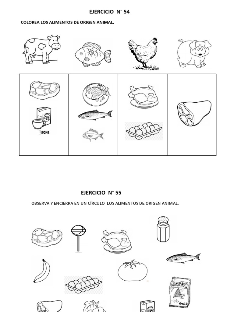 Alimentos de Origen Animal PDF