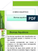 Biomas Aquáticos: Oceanos, Lagos e Rios