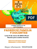 Curso Basico de Cocteleria