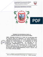 TDR Desague 2020 Palpa Desague Ejecucion Ok