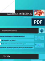 Copia de AMEBIASIS INTESTINAL