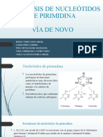 Bioquimica Del N. Via de Novo