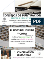 Punto y Coma PDF