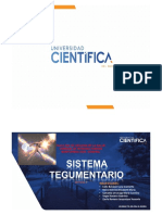 6 SISTEMA TEGUMENTARIO 2020 (1).pdf