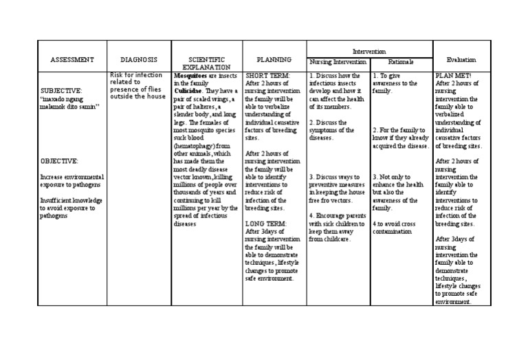 Risk For Infection Related To Presence Of Flies Outside The House Pdf