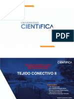 3 TEORÍA-TEJIDO CONECTIVO II.MORFO GENERAL-2020-1 (2).pdf