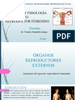 Anatomia Del Aparato Reproductor Femenino