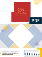 Samay - Herramientas Cualitativas