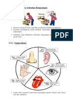 Organ Pernafasan Haiwan 1