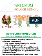 4.botani Morfologi - Bunga