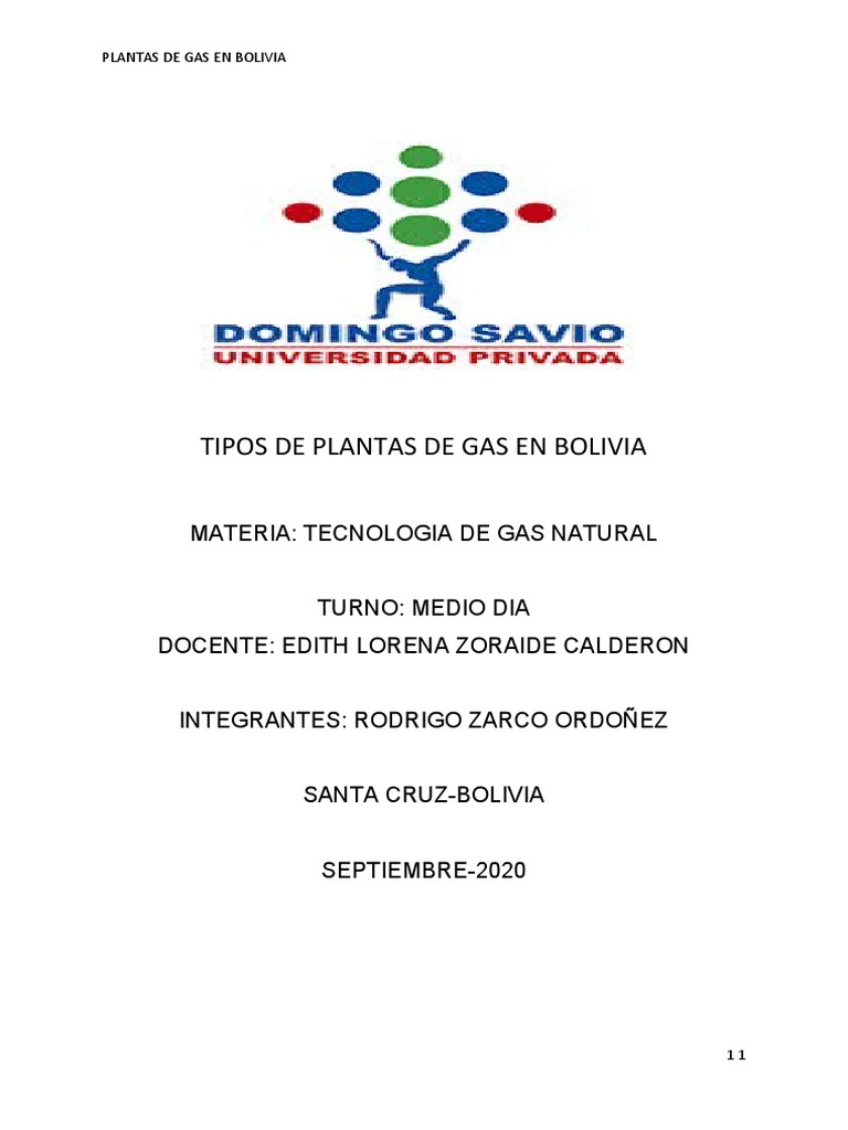 Planta de Gas en Bolivia | PDF | Gas natural | Refrigeración