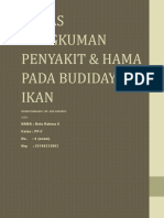 Tugas Rangkuman Penyakit Dan Hama Bela Rahma S