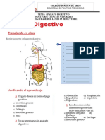 Guia 4. Aparato Digestivo