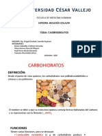 Trabajo Grupal Sobre Carbohidratos PDF