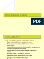 17 Organisational Culture
