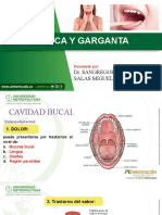 Boca y Garganta.