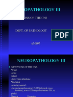 Neuropathology Iii: Infections of The Cns