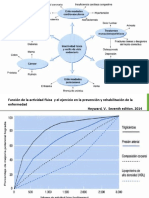 sedentarismo y actividad fisica clase 2