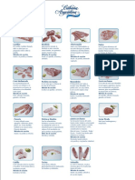Cortes de Carne Porcino PDF