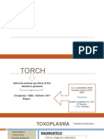 Torch-Malformaciones SNC