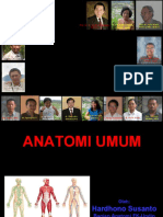 Anatomi Umum
