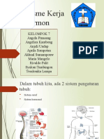 Tugas IDK (Kelompok 7) Mekanisme-Kerja-Hormon