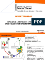 Protozos Simbiosis Ciclo PDF