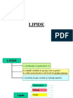 01 Lipide PDF