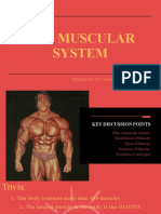 The Muscular System: Biology Ii