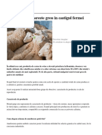 Carcase de Ovine PDF