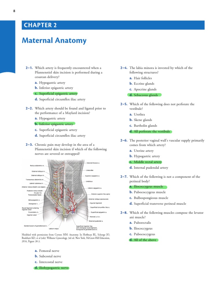 Understanding Maternal Body Habitus A Complete Guide - saq6cjt